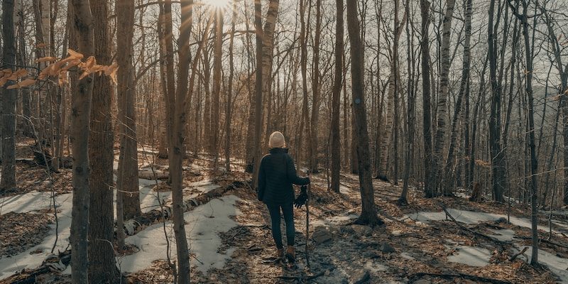 person in black jacket standing on snow covered ground in between bare trees during daytime